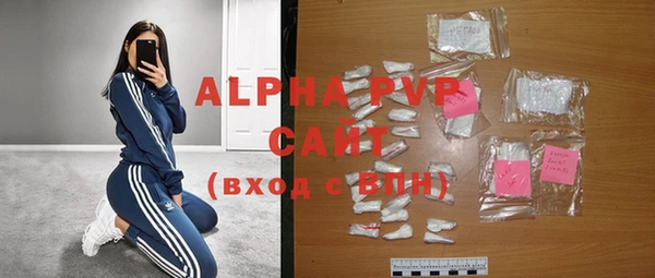 ECSTASY Новозыбков
