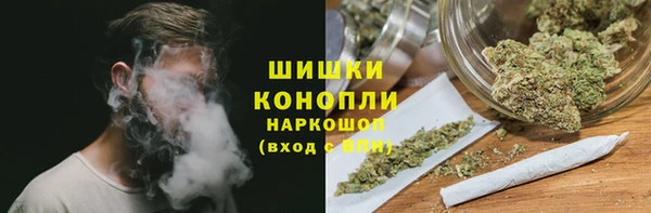 дмт Новодвинск