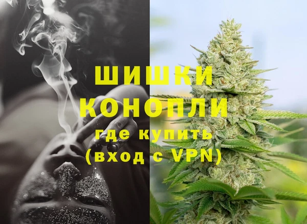 ECSTASY Новозыбков