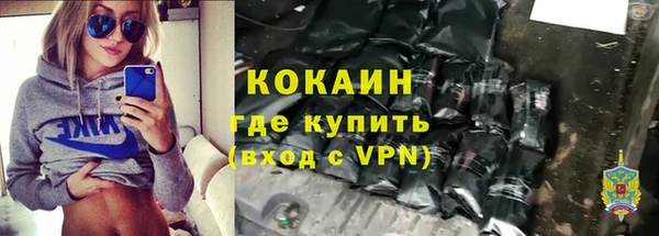 дмт Новодвинск