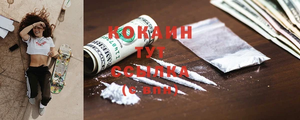 дмт Новодвинск