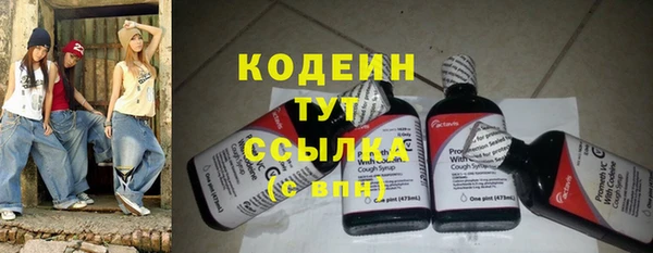 дмт Новодвинск